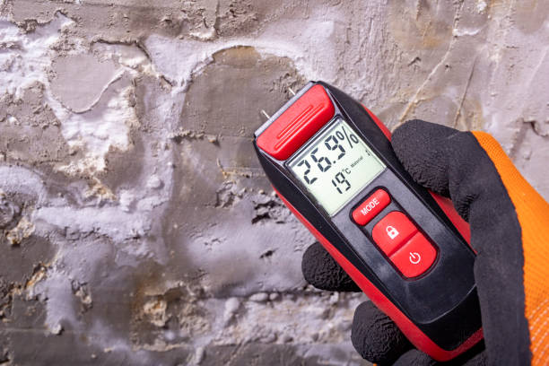Best Post-Flood Mold Remediation in Lancaster, OH