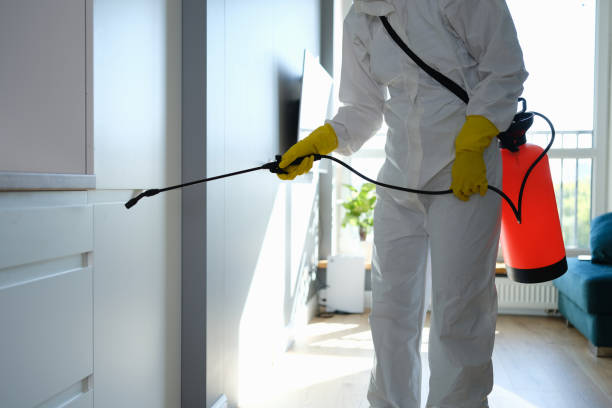 Best Mold Testing and Inspection Services in Lancaster, OH