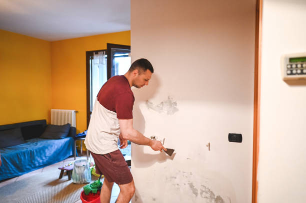 Best Health and Safety Mold Remediation in Lancaster, OH